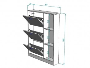 Обувница W107 в Озёрске - ozyorsk.mebel74.com | фото 3