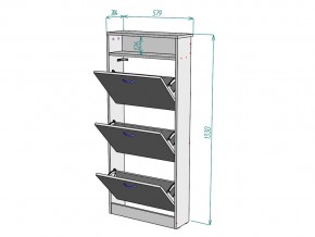 Обувница W116 в Озёрске - ozyorsk.mebel74.com | фото 3