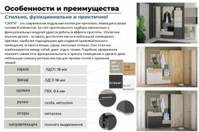 Прихожая Санти Белый/Дуб Крафт Золотой в Озёрске - ozyorsk.mebel74.com | фото 3