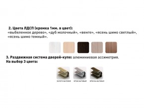 Шкаф-купе Акцент-Сим Д 1000-600 шимо тёмный в Озёрске - ozyorsk.mebel74.com | фото 3