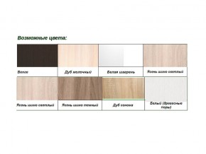 Шкаф-купе с фотопечатью 13 Хит 23-15-77 Дуб сонома в Озёрске - ozyorsk.mebel74.com | фото 2