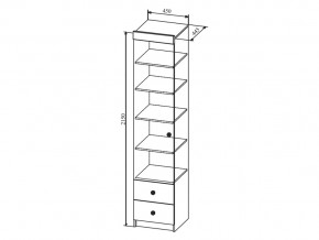 Шкаф Сканди ШД450.1 в Озёрске - ozyorsk.mebel74.com | фото 2