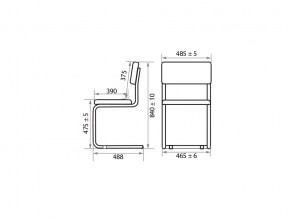 Стул Sylwia chrome Z11 в Озёрске - ozyorsk.mebel74.com | фото 2